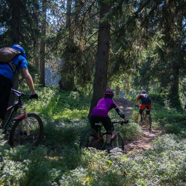 Enduro MTB - Adret'Naline