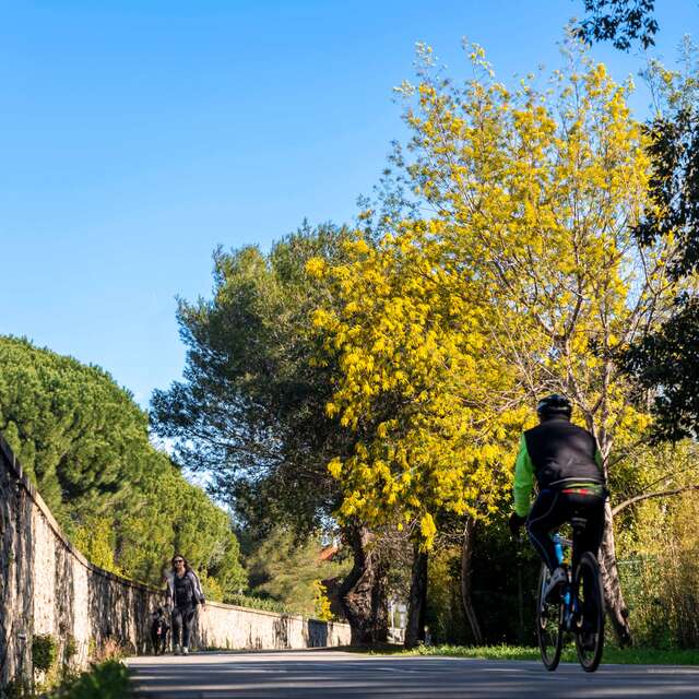 Radweg von Grimaud - V65