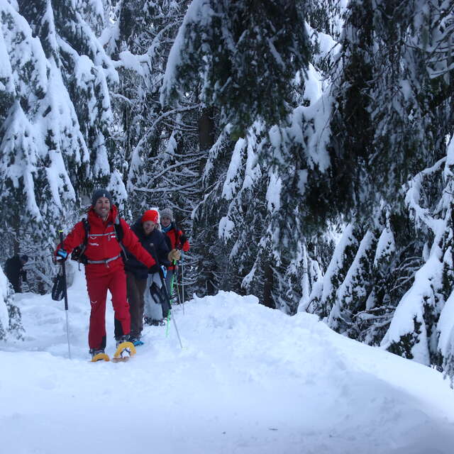 Snowshoe outing at the Dôme des Rousses with the ESF