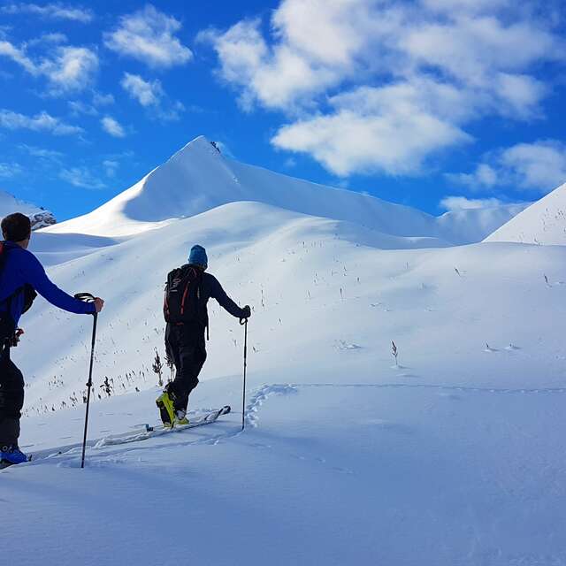 Ski de randonnée