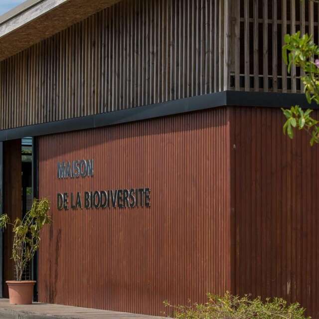 Conférence « Flore archaïque de Nouvelle-Calédonie »