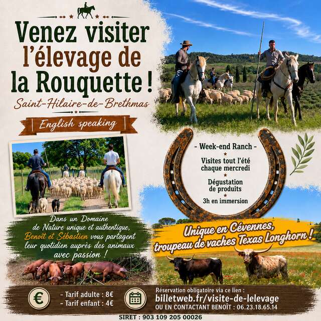 Visite - Elevage de la Rouquette
