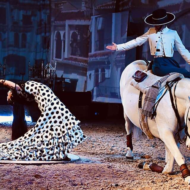 Repas - Specatcle Equestre & Flamenco