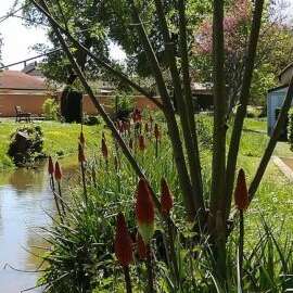 Camping Résidentiel de la Chalaronne