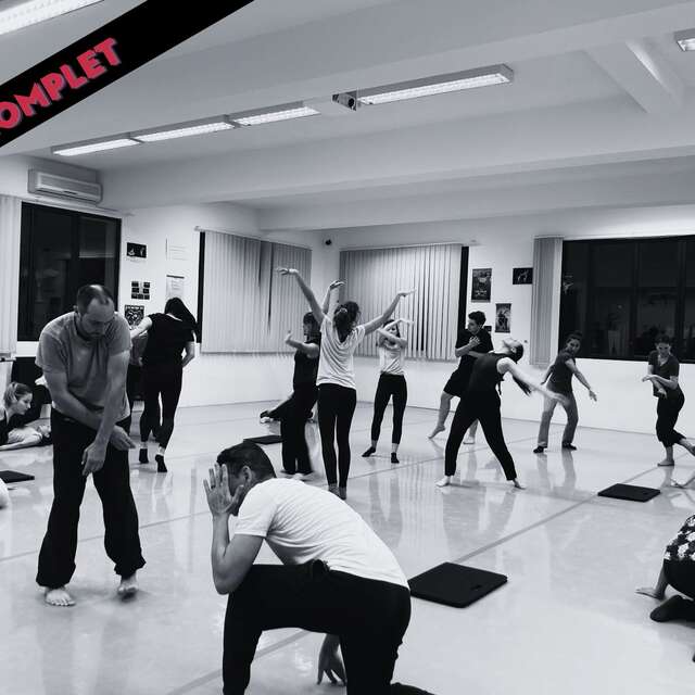 Masterclass  Compagnie Mickaël Le Mer