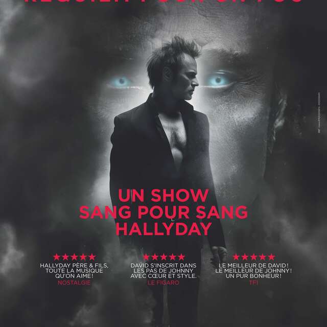 David Hallyday : Requiem pour un fou