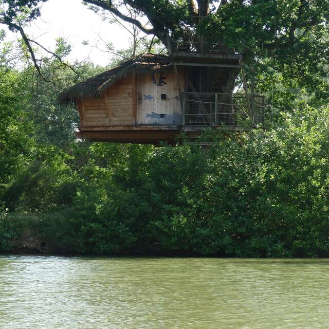Cabane perchée (Oiseaux, Pêcheurs, Lune) - DDLD