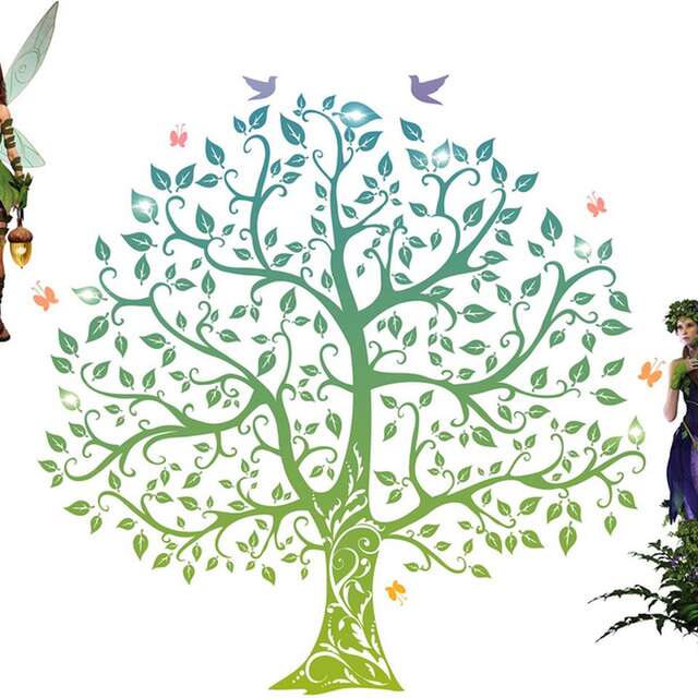 Journée Bien-être Nature Zen