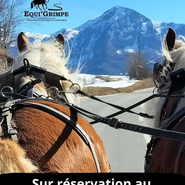 Balade en calèche