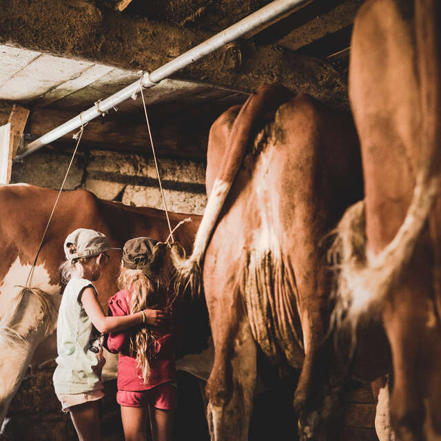 Découverte de la vie à la ferme