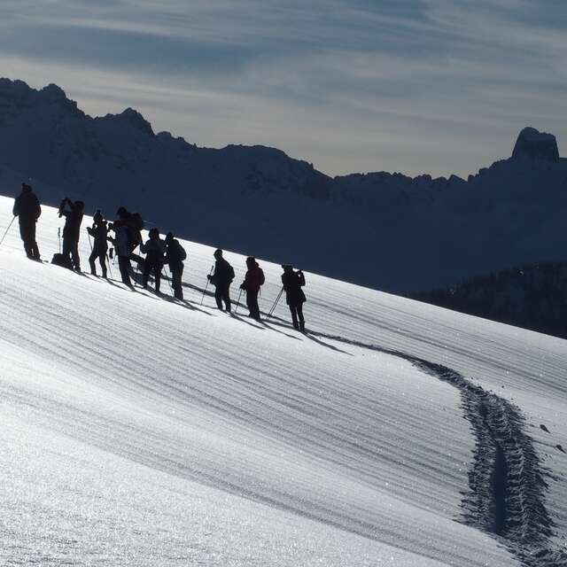 Bureau Montagne Art'itude