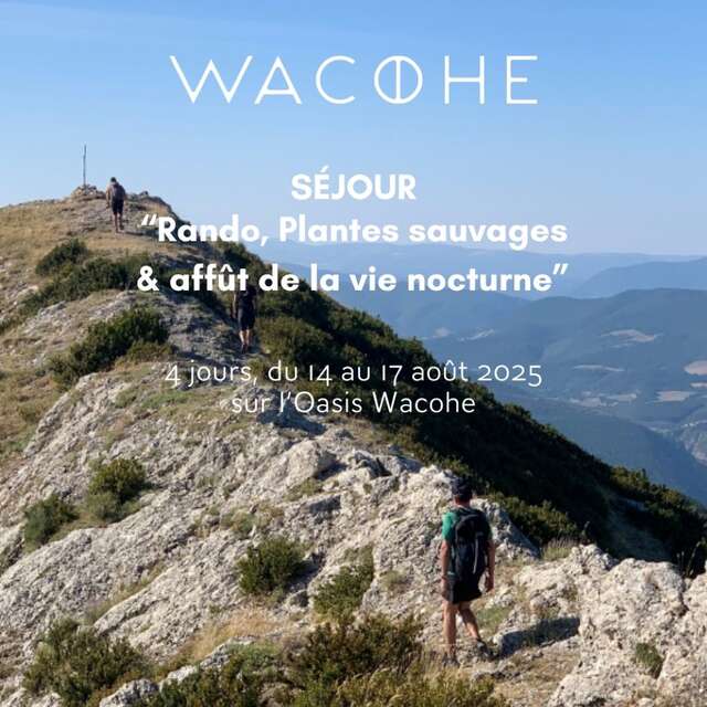 Séjour 'Rando, plantes sauvages & Affût de la vie nocturne' - Wacohe