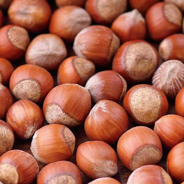 Fête de la Noisette : Valorisation de l'artisanat et des producteurs