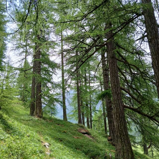 Sortie Parc - La forêt au fil des saisons