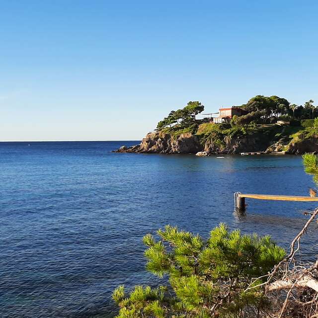 I semi dei pirati a Giens: piante pirata e tesori naturali