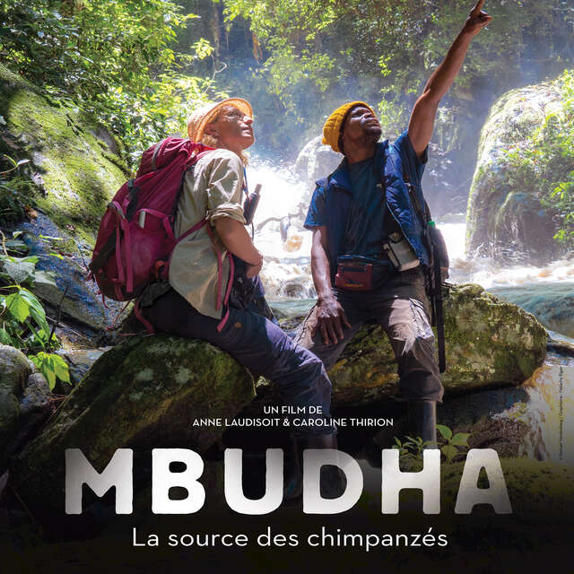 Projection de Mbudha, la Source des Chimpanzés