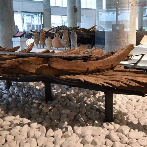 Visite en famille "Les petits explorateurs du musée"