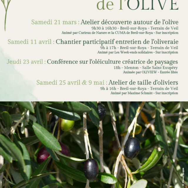 les rendez-vous de l'Olive : Atelier de taille d'oliviers