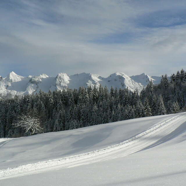 Snowshoe trail  26 Le Chinaillon - Le Grand-Bornand Village - Le Chinaillon