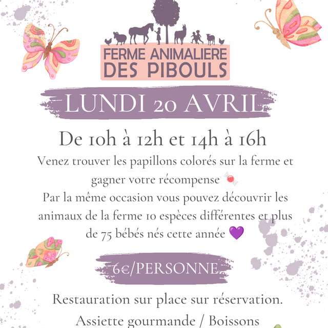 Chasse aux papillons à la ferme