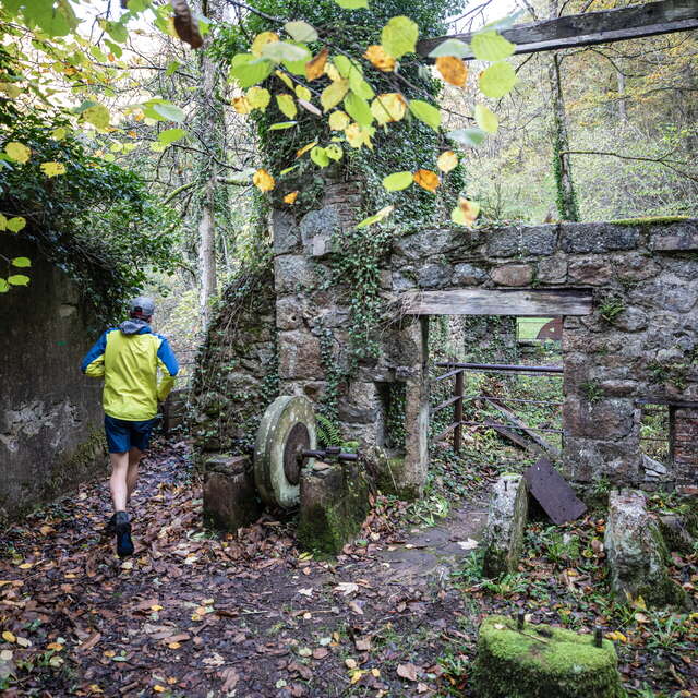 Trail du Creux de l'Enfer à la vallée des Rouets