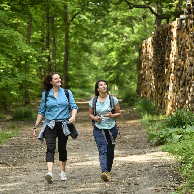Les arbres remarquables en famille en forêt de Saint-Germain