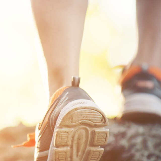 Randonnée solidaire de la Merisaie à Allègre