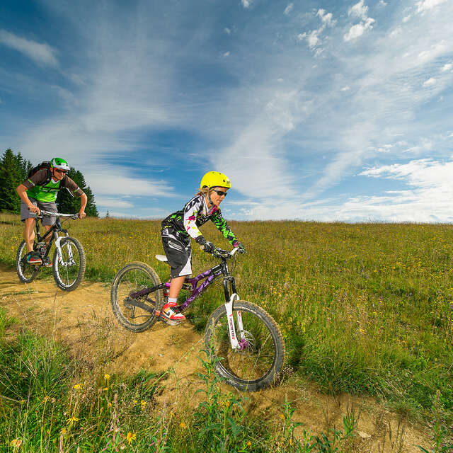 Downhill MTB - Shrek