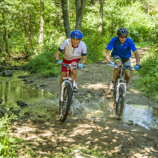 Cyclo Cross