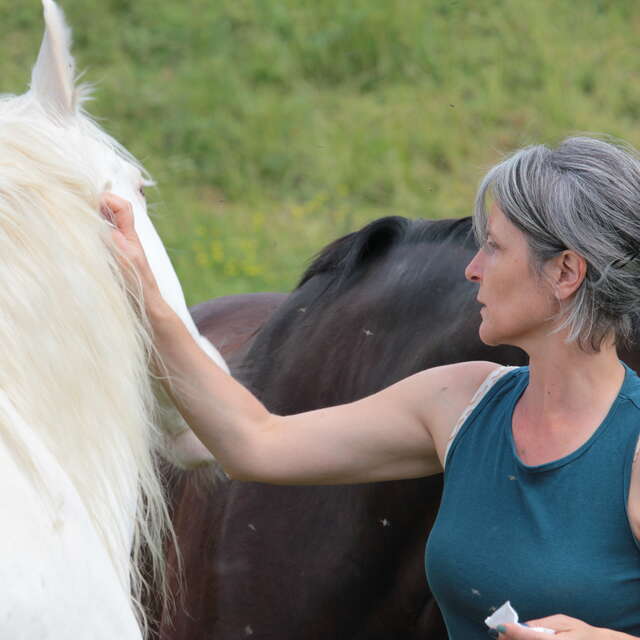 Accompagnement du binôme cavalier-cheval