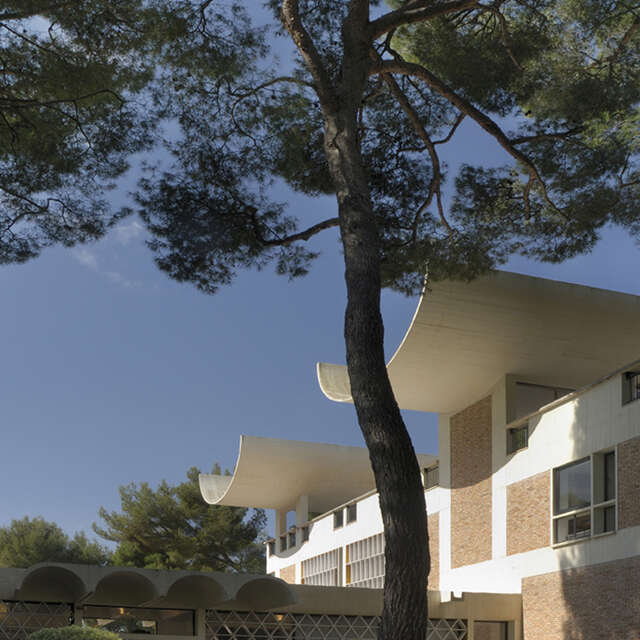Jardin de la Fondation Maeght