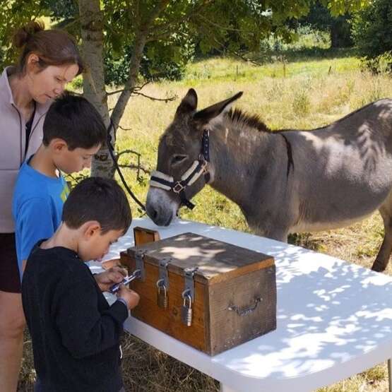 Chasse au trésor avec un âne - Semaine gourmande