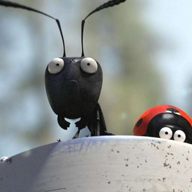 12 - La Roche Druidique de Crouzilhac