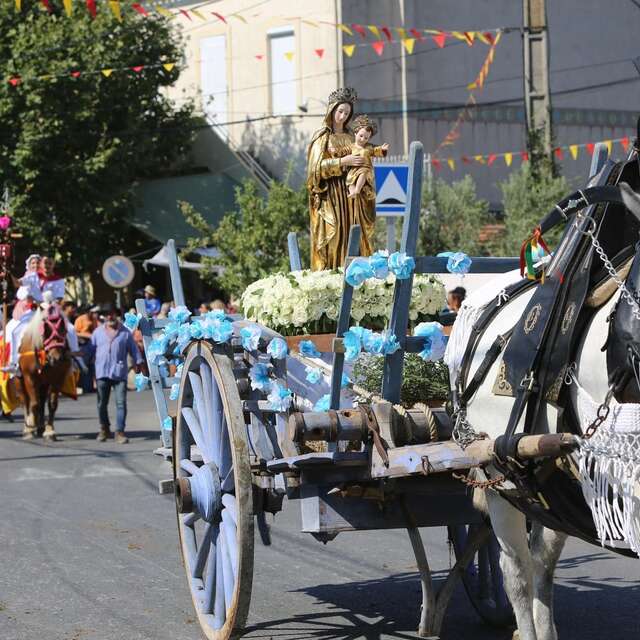 Cavalcade