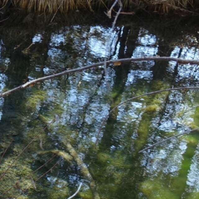 Sortie grand public autour des Nays