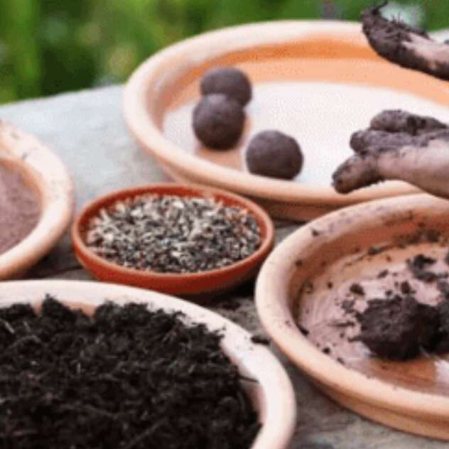Atelier fabrication de bombes à graines pour pollinisateurs