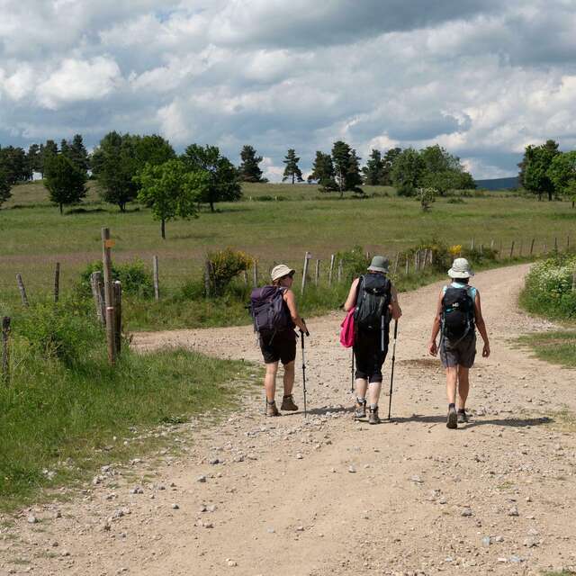 Sur les sentiers de Saint-Jean-de-Valériscle