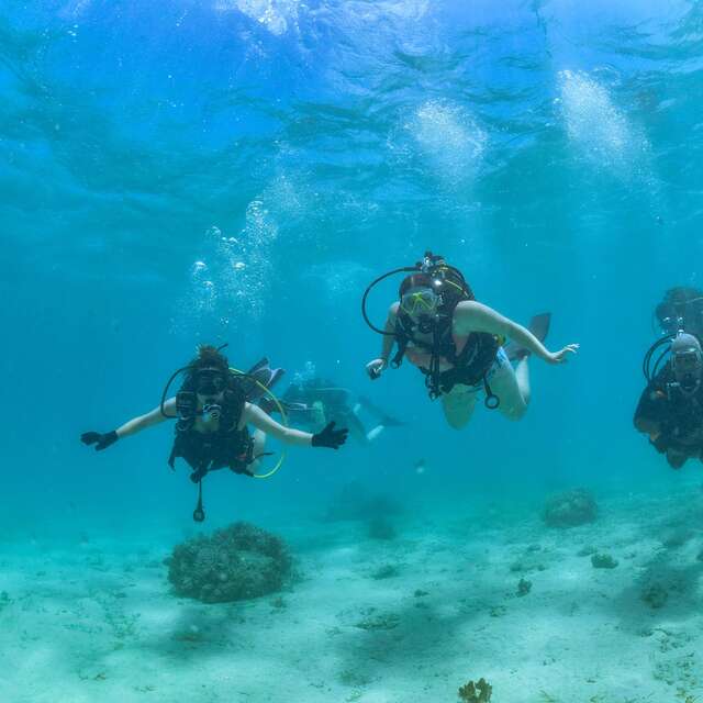 Nouméa Islands Tours