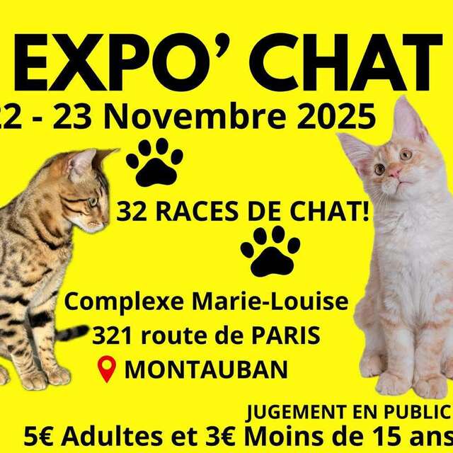 Exposition de chat de Race