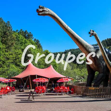 Dinopedia Parc