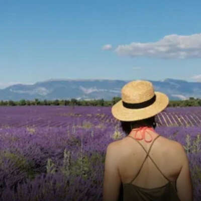 Escapade dans les lavandes