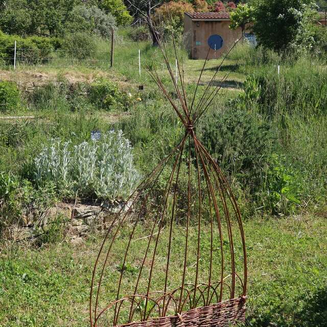 Stage "Vannerie au jardin"