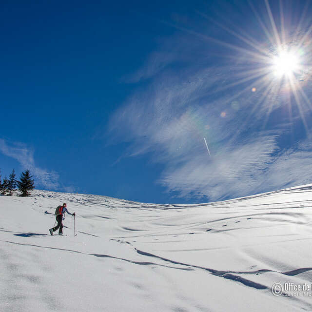 Discover ski touring with an instructor