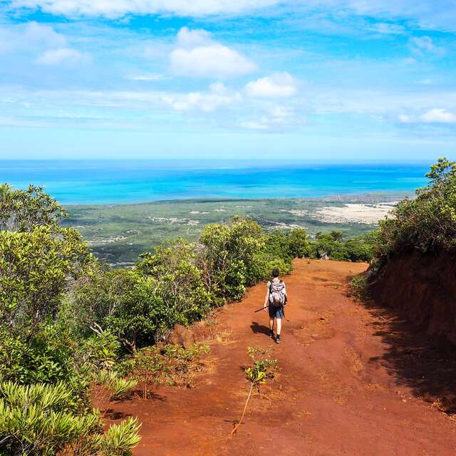 Free path of Tia plateau