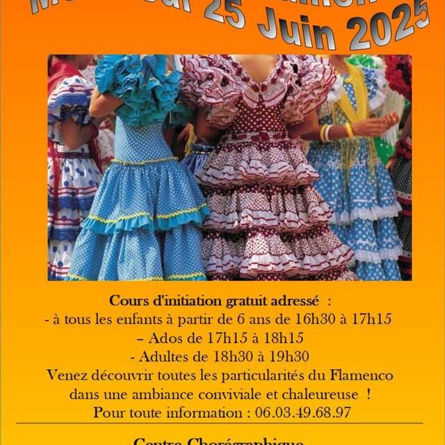 Cours d'initiation au Flamenco