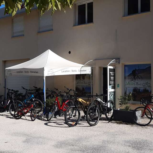 Vélos Buis