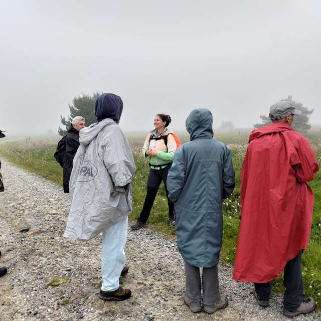 Sur les traces des glaciers foréziens