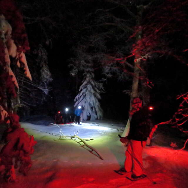Balades nocturne en raquettes à La Féclaz ou au Revard
