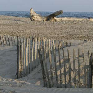 La plage d'Arles - Plage de Piémanson
