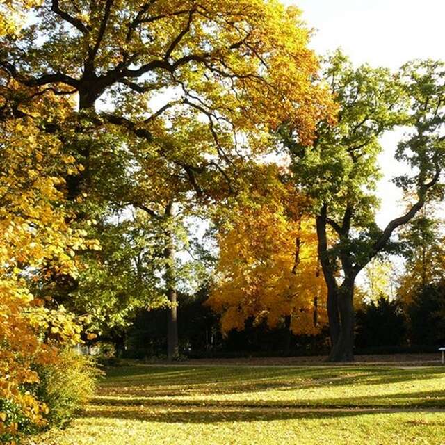 Un circuit royal en forêt de Saint-Germain !